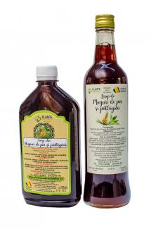 Sirop natural din Muguri de pin si Patlagina 